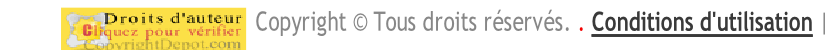 Copyright © Tous droits réservés. . Conditions d'utilisation |